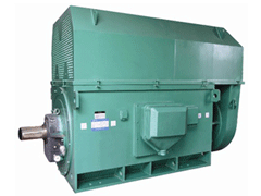 YKS4505-2Y系列6KV高压电机